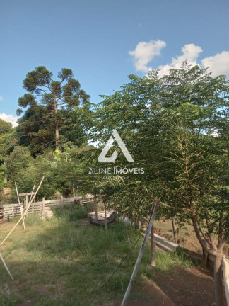 Imagem Casa com 3 Quartos para Alugar, em Tamoio - Cruz Alta Imagem Casa com 3 Quartos para Alugar, em Tamoio - Cruz Alta
