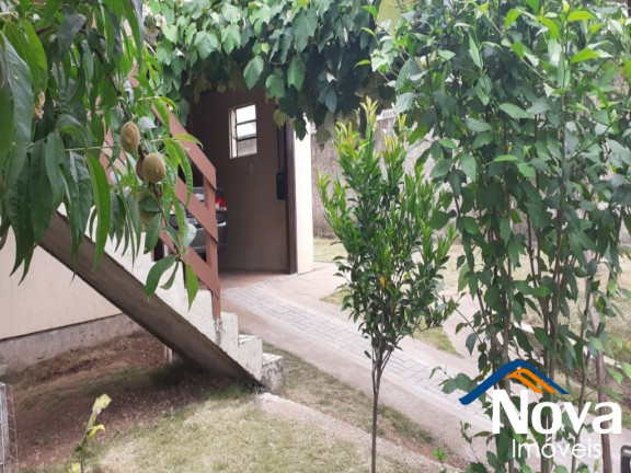 Imagem Imóvel com 2 Quartos à Venda,  em Vila Germânia - Nova Petrópolis