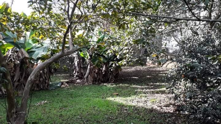 Imagem Terreno à Venda, em Arroio Da Manteiga - São Leopoldo Imagem Terreno à Venda, em Arroio Da Manteiga - São Leopoldo