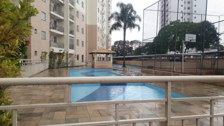 Imagem Apartamento com 3 Quartos à Venda, 62 m² em Jardim Augusta - São José Dos Campos Imagem Apartamento com 3 Quartos à Venda, 62 m² em Jardim Augusta - São José Dos Campos