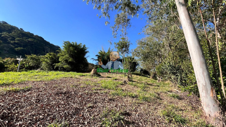 Imagem Chácara à Venda, 8.000 m² em Centro - Paraibuna Imagem Chácara à Venda, 8.000 m² em Centro - Paraibuna
