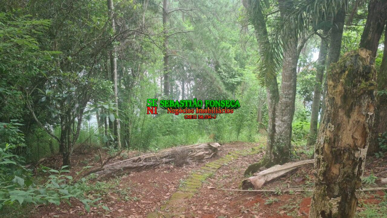 Imagem Chácara com 2 Quartos à Venda, 3.000 m² em Mirante Da Serra - Igaratá Imagem Chácara com 2 Quartos à Venda, 3.000 m² em Mirante Da Serra - Igaratá