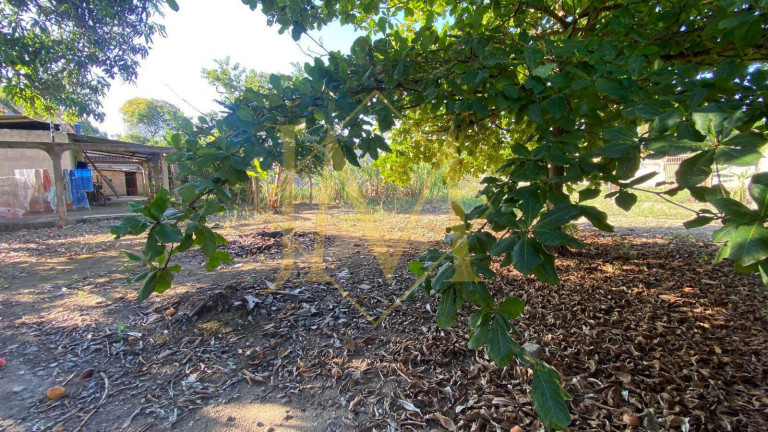 Imagem Terreno à Venda, 1.350 m² em Belo Oriente Imagem Terreno à Venda, 1.350 m² em Belo Oriente