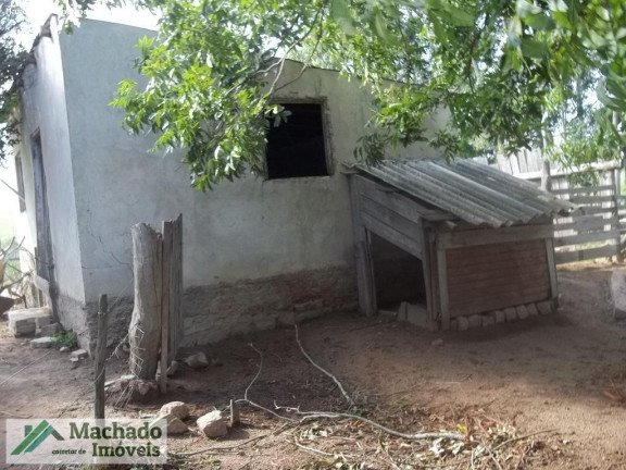 Imagem Imóvel à Venda, 200.000 m² em Rural - São Sepé Imagem Imóvel à Venda, 200.000 m² em Rural - São Sepé