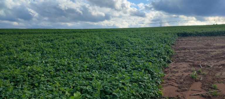 Imagem Fazenda à Venda, 70 m² em Rural - Itapetininga Imagem Fazenda à Venda, 70 m² em Rural - Itapetininga