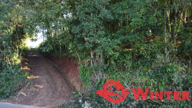 Imagem Chácara à Venda, 8.837 m² em Bom Princípio Imagem Chácara à Venda, 8.837 m² em Bom Princípio
