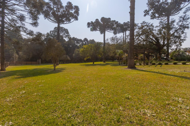 Imagem Imóvel com 4 Quartos à Venda, 37.906 m² em Ouro Verde - Campo Largo
