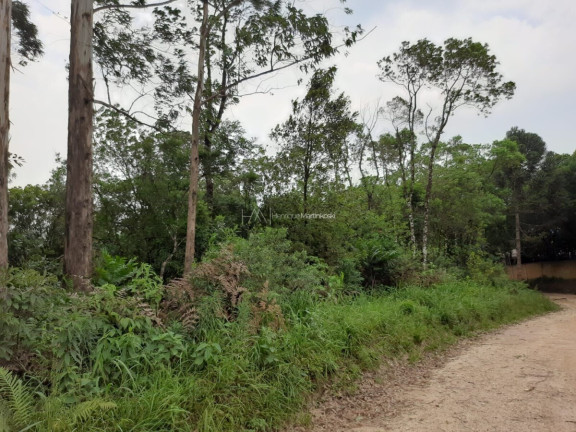 Imagem Fazenda à Venda, 127.997 m² em Pacotuba - Almirante Tamandaré Imagem Fazenda à Venda, 127.997 m² em Pacotuba - Almirante Tamandaré