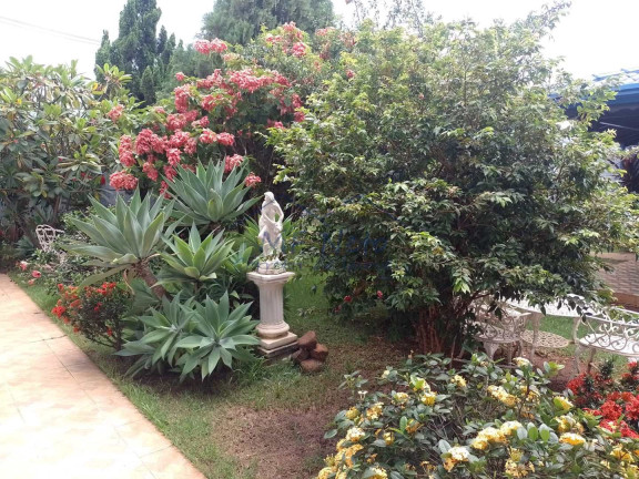 Imagem Casa com 3 Quartos à Venda, 300 m² em Parque Dos Eucaliptos - Pirassununga