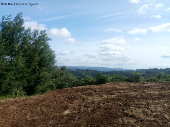 Imagem Terreno à Venda, 4 m² em Pinhal Alto - Nova Petrópolis