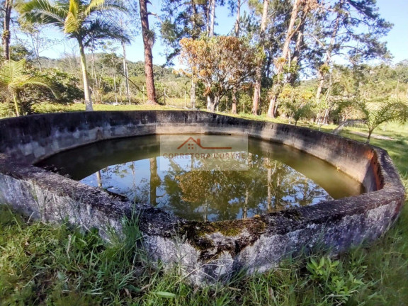 Imagem Imóvel com 5 Quartos à Venda, 5.875 m² em Palmeiras - Juquitiba Imagem Imóvel com 5 Quartos à Venda, 5.875 m² em Palmeiras - Juquitiba