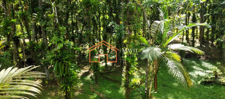 Imagem Imóvel com 2 Quartos à Venda, 27.000 m² em Rio Bonito (pirabeiraba) - Joinville Imagem Imóvel com 2 Quartos à Venda, 27.000 m² em Rio Bonito (pirabeiraba) - Joinville