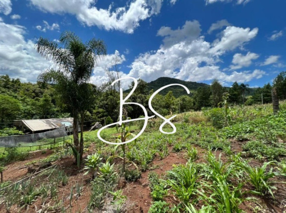 Imagem Imóvel à Venda, 80.000 m² em Rs020 - Três Coroas