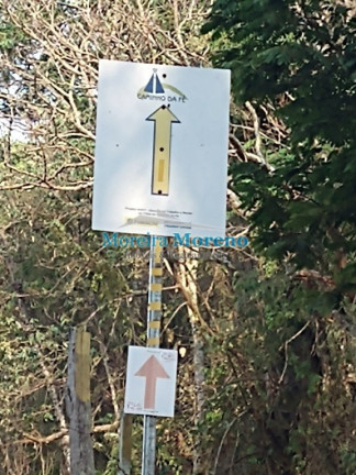 Imagem Imóvel à Venda, 1 m² em Zona Rural - Borda Da Mata Imagem Imóvel à Venda, 1 m² em Zona Rural - Borda Da Mata