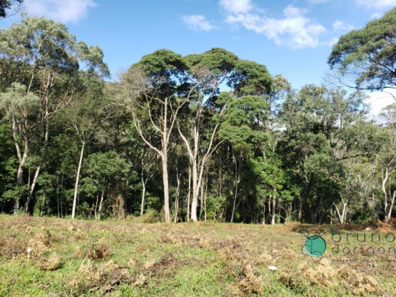 Imagem Imóvel à Venda, 120.000 m² em Zona Rural - Alfredo Wagner Imagem Imóvel à Venda, 120.000 m² em Zona Rural - Alfredo Wagner