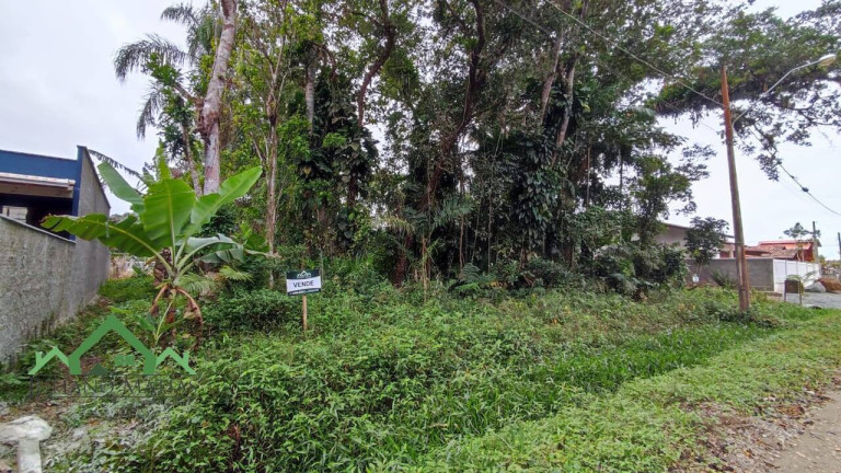Imagem Terreno à Venda, 405 m² em Costeira - Balneário Barra Do Sul Imagem Terreno à Venda, 405 m² em Costeira - Balneário Barra Do Sul