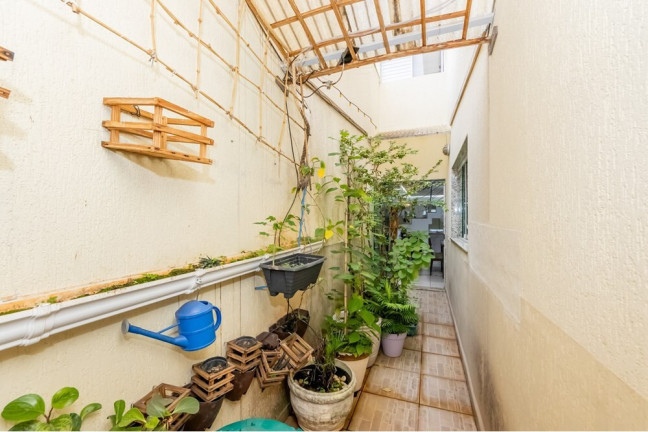 Imagem Casa com 3 Quartos à Venda, 185 m² em Vila Bela - São Paulo Imagem Casa com 3 Quartos à Venda, 185 m² em Vila Bela - São Paulo