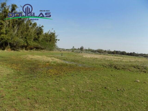 Imagem Chácara à Venda, 20.000 m² em águas Claras - Viamão Imagem Chácara à Venda, 20.000 m² em águas Claras - Viamão
