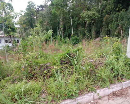 Imagem Imóvel à Venda, 391 m² em Vila Germânia - Nova Petrópolis Imagem Imóvel à Venda, 391 m² em Vila Germânia - Nova Petrópolis
