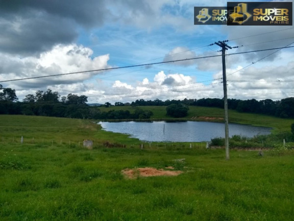 Imagem Imóvel com 8 Quartos à Venda, 60.000 m² em Centro - Canguçu