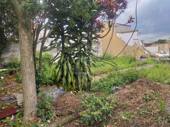 Imagem Terreno à Venda, 250 m² em Parque Das Paineiras - São Paulo Imagem Terreno à Venda, 250 m² em Parque Das Paineiras - São Paulo