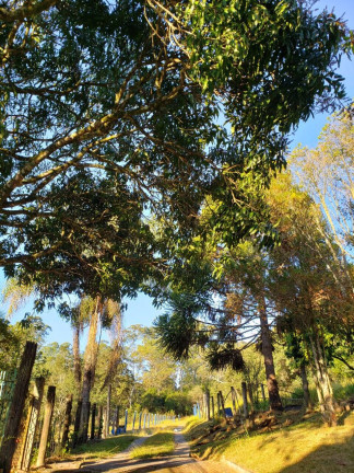 Imagem Fazenda à Venda, 30.000 m² em Centro - Jarinu Imagem Fazenda à Venda, 30.000 m² em Centro - Jarinu