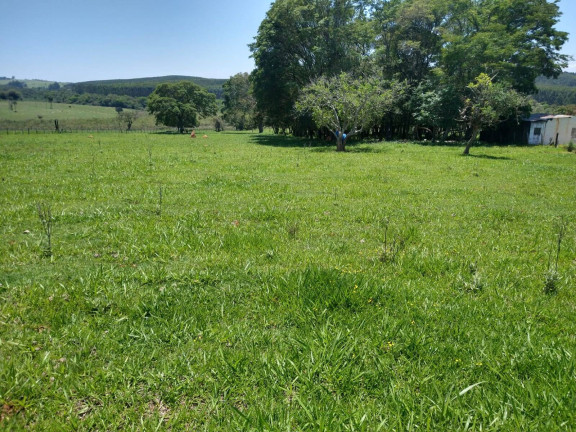 Imagem Chácara com 3 Quartos à Venda, 310 m² em Zona Distribuidora - Sarapuí Imagem Chácara com 3 Quartos à Venda, 310 m² em Zona Distribuidora - Sarapuí