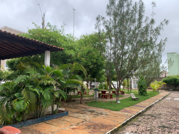 Imagem Apartamento com 2 Quartos à Venda, 47 m² em Vale Do Gavião - Teresina