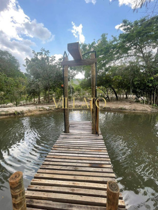 Imagem Chácara com 3 Quartos à Venda, 7.000 m² em Heitoraí
