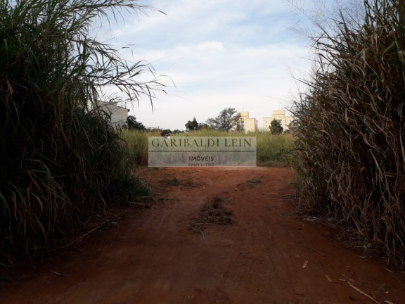 Imagem Imóvel à Venda, 1.745 m² em Mansões Santo Antônio - Campinas Imagem Imóvel à Venda, 1.745 m² em Mansões Santo Antônio - Campinas