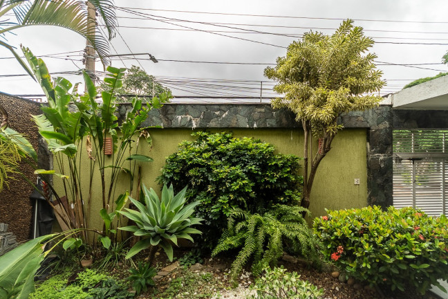 Imagem Casa com 3 Quartos à Venda, 267 m² em Bosque Da Saúde - São Paulo