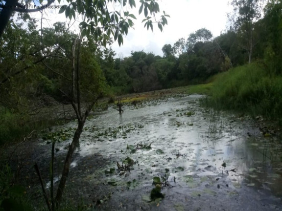 Terreno à Venda, 225.000 m² em Arroio Paixão - Nova Petrópolis