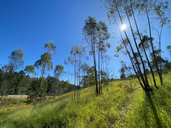 Imagem Terreno à Venda, 320.000 m² em Terra Preta (terra Preta) - Mairiporã