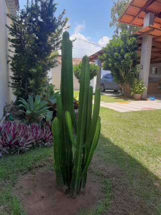 Imagem Casa com 2 Quartos à Venda, 530 m² em Centro - Tibau Do Sul