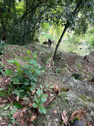Imagem Terreno à Venda, 3.250 m² em Ribeirão - Paulo Lopes Imagem Terreno à Venda, 3.250 m² em Ribeirão - Paulo Lopes