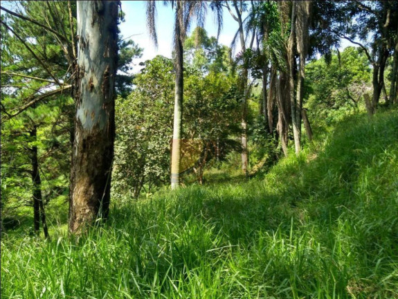 Imagem Terreno à Venda, 12.000 m² em Chácara Jaraguá - São Paulo Imagem Terreno à Venda, 12.000 m² em Chácara Jaraguá - São Paulo