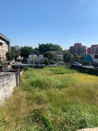 Imagem Terreno para Alugar, 900 m² em Morumbi - São Paulo Imagem Terreno para Alugar, 900 m² em Morumbi - São Paulo