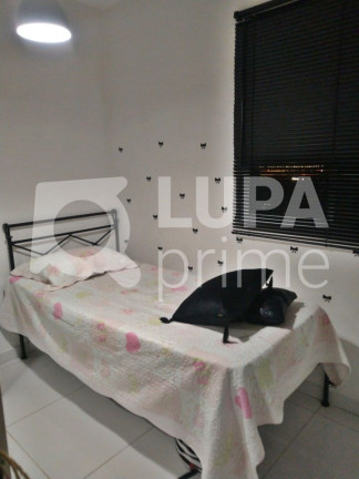Imagem Apartamento com 3 Quartos à Venda, 66 m² em Vila Guilherme - São Paulo