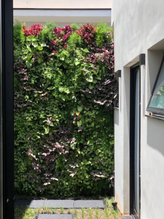 Imagem Casa com 3 Quartos à Venda, 183 m² em Residencial Real Park Sumaré - Sumaré