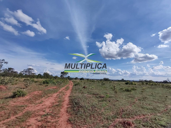 Imagem Fazenda à Venda, 53 m² em Centro - Monte Alegre De Minas Imagem Fazenda à Venda, 53 m² em Centro - Monte Alegre De Minas