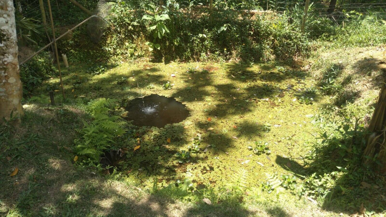 Imagem Chácara com 1 Quarto à Venda, 1.000 m² em Praia Da Maranduba - Ubatuba