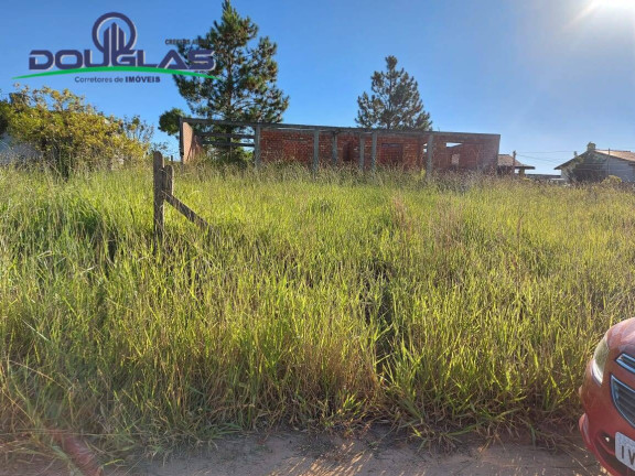 Imagem Casa à Venda, 600 m² em Viamão
