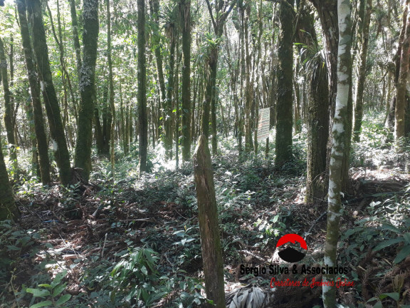 Imagem Terreno à Venda, 1 m² em Campos Do Jordão Imagem Terreno à Venda, 1 m² em Campos Do Jordão