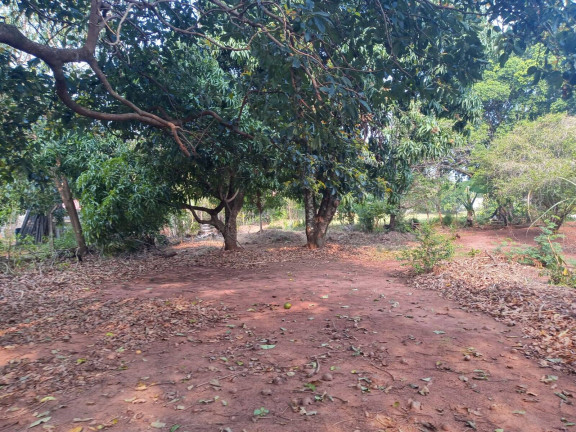 Imagem Chácara à Venda, 2 m² em Vilagio Das Palmeiras - Sabáudia Imagem Chácara à Venda, 2 m² em Vilagio Das Palmeiras - Sabáudia