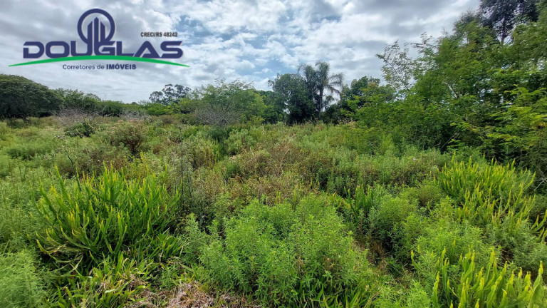 Imagem Chácara à Venda, 20.000 m² em águas Claras - Viamão Imagem Chácara à Venda, 20.000 m² em águas Claras - Viamão