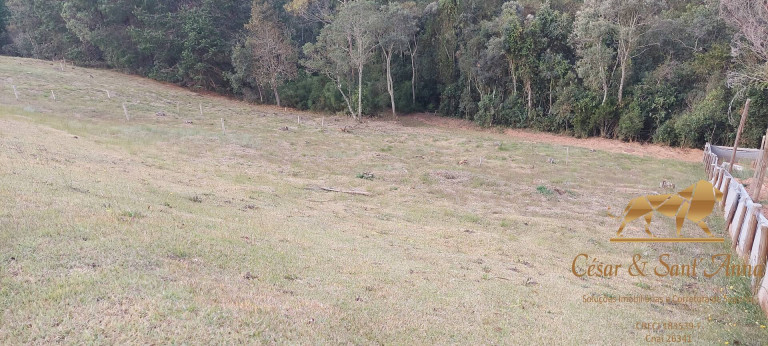 Imagem Terreno em Condomínio à Venda, 1.146 m² em Alto Do Capivari - Campos Do Jordão Imagem Terreno em Condomínio à Venda, 1.146 m² em Alto Do Capivari - Campos Do Jordão