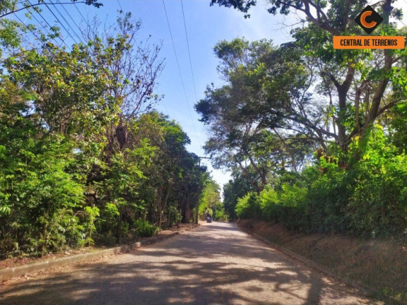 Imagem Terreno à Venda, 1.000 m² em Imbassaí - Mata De São João Imagem Terreno à Venda, 1.000 m² em Imbassaí - Mata De São João