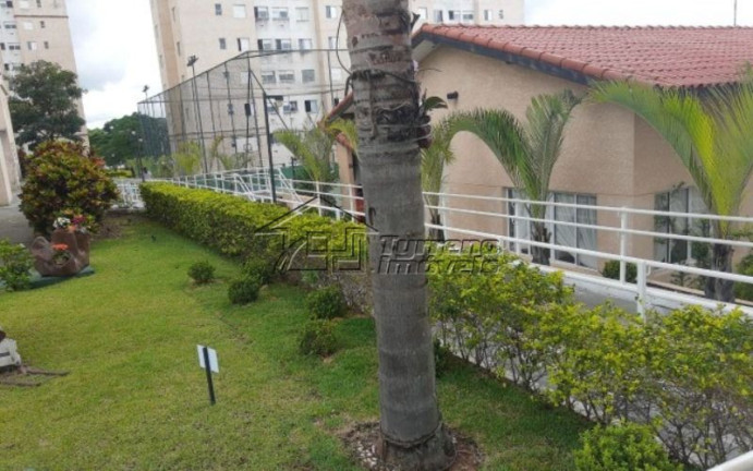 Imagem Apartamento com 2 Quartos à Venda, 47 m² em Jardim Ismênia - São José Dos Campos Imagem Apartamento com 2 Quartos à Venda, 47 m² em Jardim Ismênia - São José Dos Campos