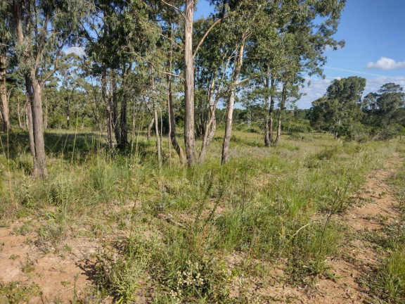 Imagem Terreno à Venda, 20.000 m² em Alto Perequê - Arroio Do Padre Imagem Terreno à Venda, 20.000 m² em Alto Perequê - Arroio Do Padre