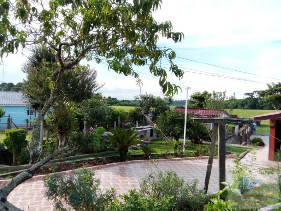 Imagem Casa com 2 Quartos à Venda, 65 m² em Campo Largo Da Roseira - São José Dos Pinhais Imagem Casa com 2 Quartos à Venda, 65 m² em Campo Largo Da Roseira - São José Dos Pinhais